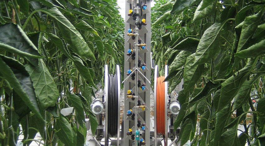 Poor maintenance can slash life span of spray robot by half