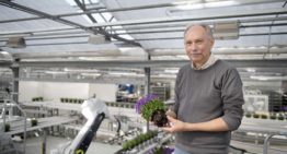 “We also need to continuously improve our efficiency through automation”