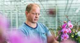 “Knowledge of soil organisms is key in ideal potting mixture”