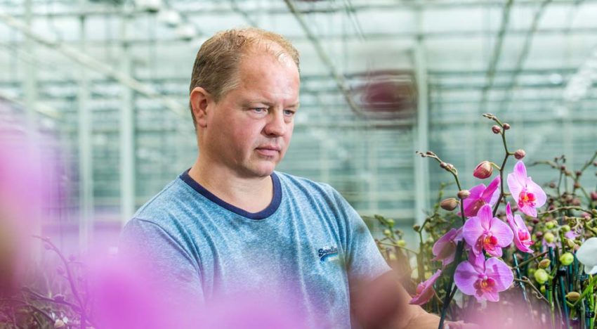 “Knowledge of soil organisms is key in ideal potting mixture”