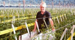 “We’re aiming for 5% higher yields with more and bigger fruits”