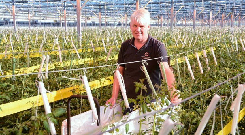 “We’re aiming for 5% higher yields with more and bigger fruits”