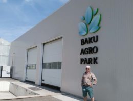 Dutch growers grow pink tomatoes in Azerbaijan for Russian market