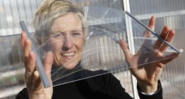 Ultra-thin glass: the way forward for the low-energy greenhouse?