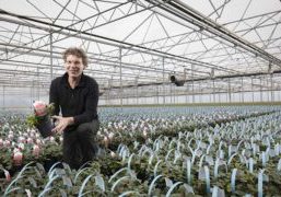 Grower Frans Kortenhorst: “With this film, we cut our watering by 25% and I got rid of Sciarid fly in one fell swoop.”