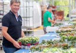 201705OGthema04foto1silicum1000X600