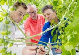 Blocked pipes can cause big problems. Using stabilised hydrogen peroxide keeps the system biofilm-free. The active substance stays active for a long time