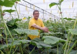 High-wire cucumber grower Hans Houben is heading ever further down the path of Next Generation Growing.