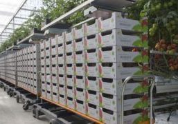 Gridmap is the new technology for moving your harvest trolley in the greenhouse without rails. Now, for the first time, a harvest trolley can move around a greenhouse entirely without rails in the concrete floor or processing area.