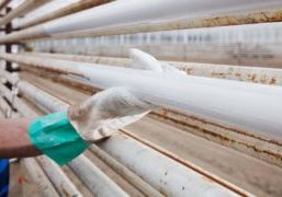 There are various horticultural paints available which protect against the wide range of influences in the greenhouse