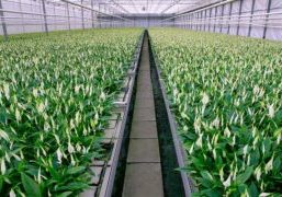 Foto 1 20180411G-1000x600