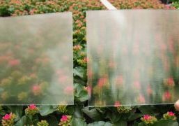 Manufacturers offer a wide range of glass types. The question is how growers are supposed to choose if they don’t have enough data on their own crops.