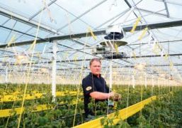 Limiting light emissions called for creative solution