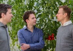 Peter Goudswaard (left), Simon van Mourik and Bram van Rens (right)