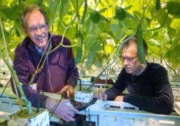 Photostudio G.J. Vlekke / Fotovak B.V.