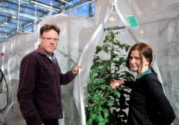 Foto 2 Nesi (5)1000x600