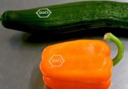 Cucumber and bell pepper with laser brand