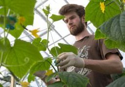 Paul Jeannet, bedrijfsleider van UrbanFarmers in Den Haag