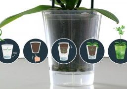 The ’t Hoog Bos and ’t Nieuw Bos nurseries have jointly developed an innovative watering system together with supplier Van Krimpen: the H2Obloom.